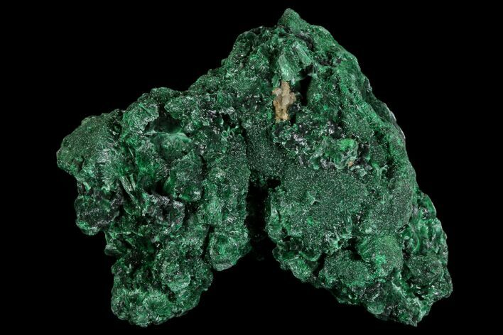 Silky Fibrous Malachite Cluster - Congo #81768